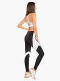KORAL LEGGING Venus Blackout High Rise Black/White